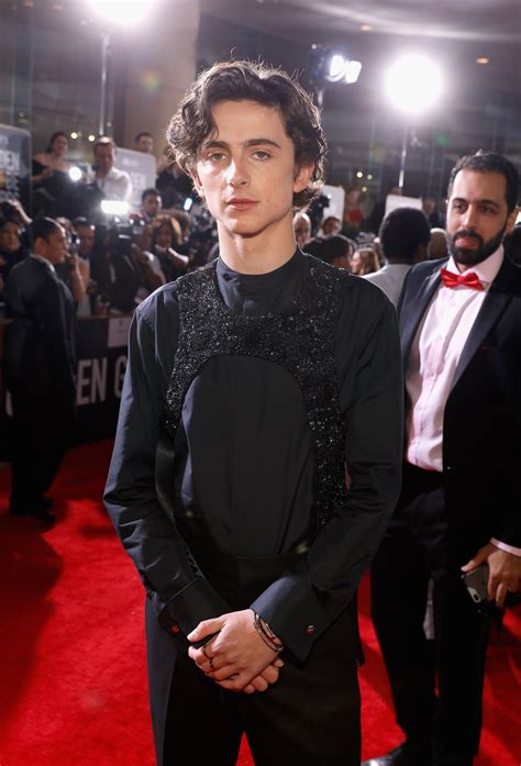 timothée chalamet louis vuitton|timothee Chalamet actress.